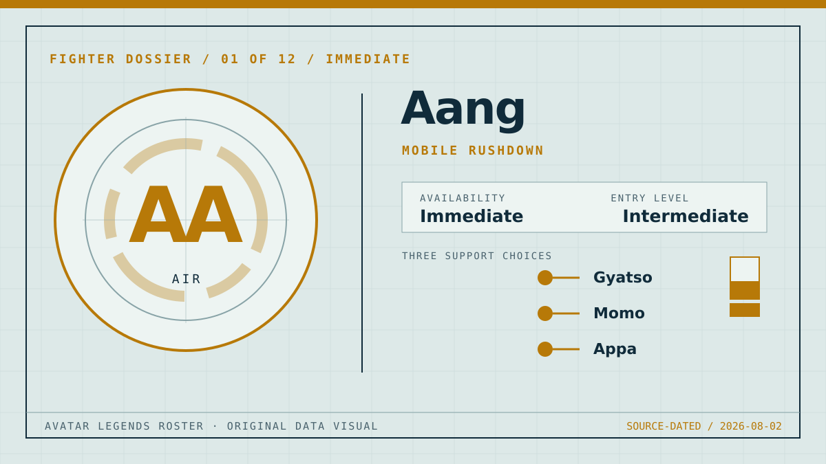 Original Aang fighter dossier graphic showing the Air classification, mobile rushdown playstyle, intermediate entry level, and three support choices.